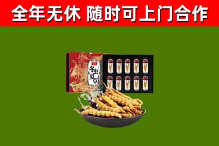 福田烟酒回收冬虫夏草礼盒.jpg